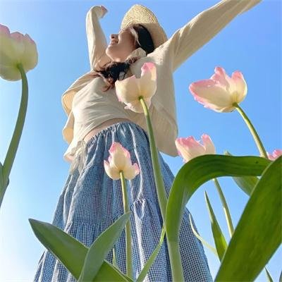 狮子狗行动